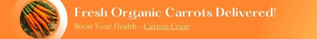 Carrot Craze Banner